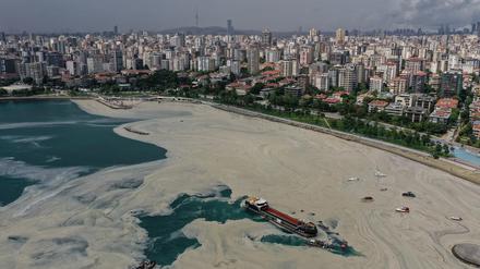 Bereits im Sommer 2021 überdeckte eine riesige Schleimschicht das Marmarameer in der Türkei wie hier in Istanbul.