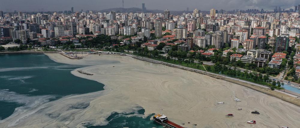 Bereits im Sommer 2021 überdeckte eine riesige Schleimschicht das Marmarameer in der Türkei wie hier in Istanbul.