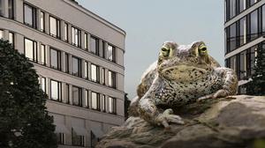 Die Kreuzkröte und das Pankower Tor.