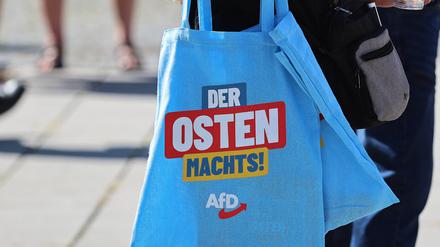 Die AfD darf in Sachsen und Thüringen auf gute Werte hoffen.