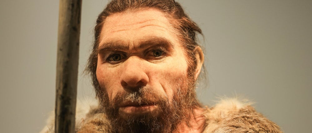 Eine Nachbildung des Neandertalers steht im LVR-LandesMuseum Bonn.