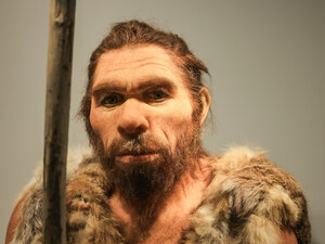 Eine Nachbildung des Neandertalers steht im LVR-LandesMuseum Bonn.