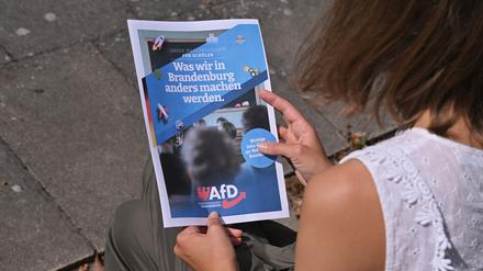 Mit diesem Flyer will die AfD bei Schülern werben.