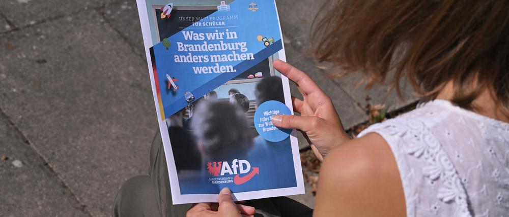 Mit diesem Flyer will die AfD bei Schülern werben.