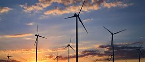 Der Deutsche Wetterdienst hat für die nächsten Tage sonniges Wetter in Berlin und Brandenburg angekündigt. (Symbolbild)