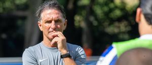 Bruno Labbadia wird der sechste deutsche Nationaltrainer der nigerianischen Mannschaft.