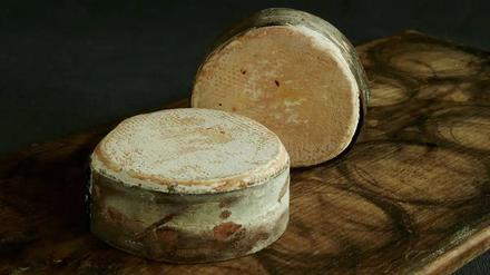 Schafskäse von Willi Schmid