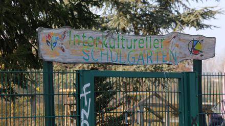Der Integrationsgarten am Schlaatz gehört zu den Projekten, die von der Halbierung der Fördergelder betroffen sein könnten.