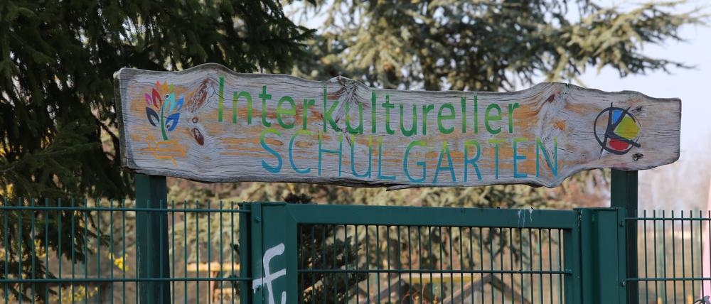 Der Integrationsgarten am Schlaatz gehört zu den Projekten, die von der Halbierung der Fördergelder betroffen sein könnten.