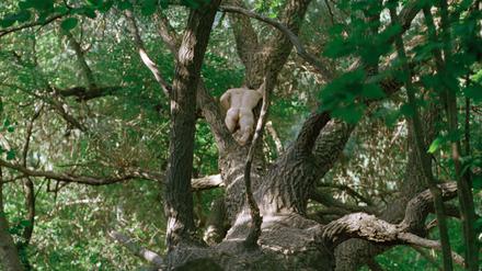In der Natur fotografierte Lukas Städler Unbekannte, Freunde auch mal einen Pornodarsteller.