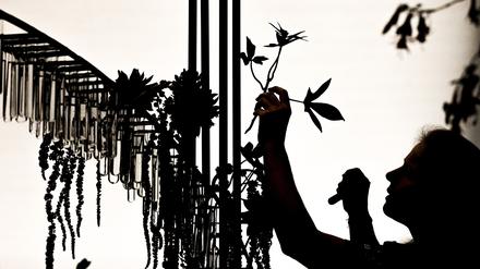 Floristin Lena Hartmann gestaltete bei der Deutschen Meisterschaft der Floristik im Wettbewerb einen Tischschmuck.