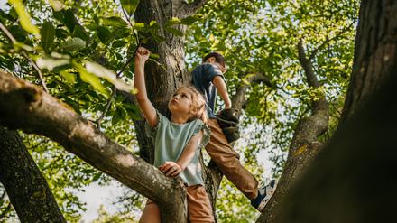 Kleiner Bruder und kleine Schwester spielen zusammen auf einem Baum im Freien.
