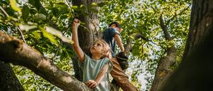 Kleiner Bruder und kleine Schwester spielen zusammen auf einem Baum im Freien.