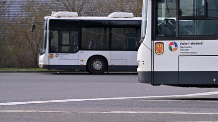 Bus und Bahn in Potsdam.