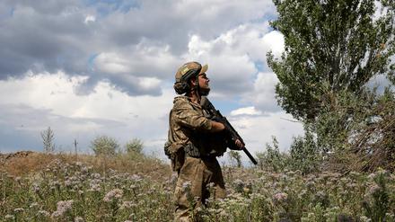 15. August 2024: Ein Soldat des motorisierten Gewehrbataillons der 93. Separaten Mechanisierten Brigade „Kholodnyi Yar” der ukrainischen Streitkräfte steht auf einem Feld in der Region Donetsk im Osten der Ukraine.