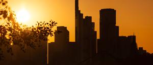 Sonnenuntergang hinter der Frankfurter Skyline.