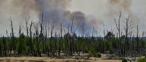 Ein Waldbrand (Symbolbild).
