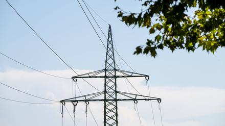 Vor allem stark wachsender Stromverbrauch hat den Energieverbrauch angetrieben