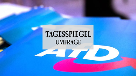Tagesspiegel Umfrage