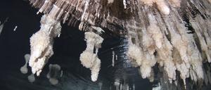 Phreatische Überkrustungen auf Tropfsteinen wachsen genau auf der Meereshöhe. Man sieht sie auf dem Bild über dem Taucher in der ‘Galeria de les Delícies’ in der Drachenhöhle auf Mallorca, Spanien. Diese Überkrustungen ermöglichen eine genauere Rekonstruktion der früheren Meeresspiegel. Die unter dem Wasser liegenden Stalagmiten sind zu einer Zeit gewachsen, als der Meeresspiegel deutlich niedriger war.