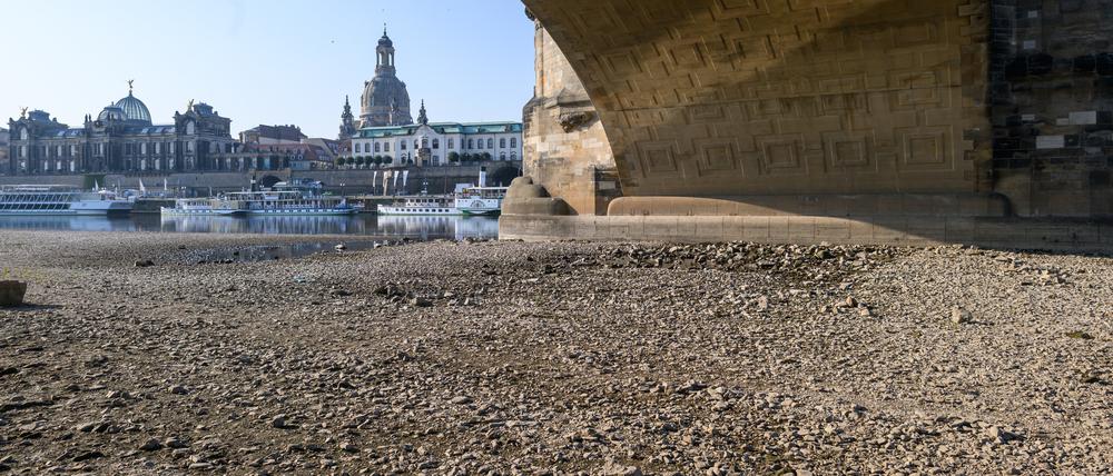 Ausgetrocknetes Elbufer unterhalb der Augustusbrücke in Dresden.