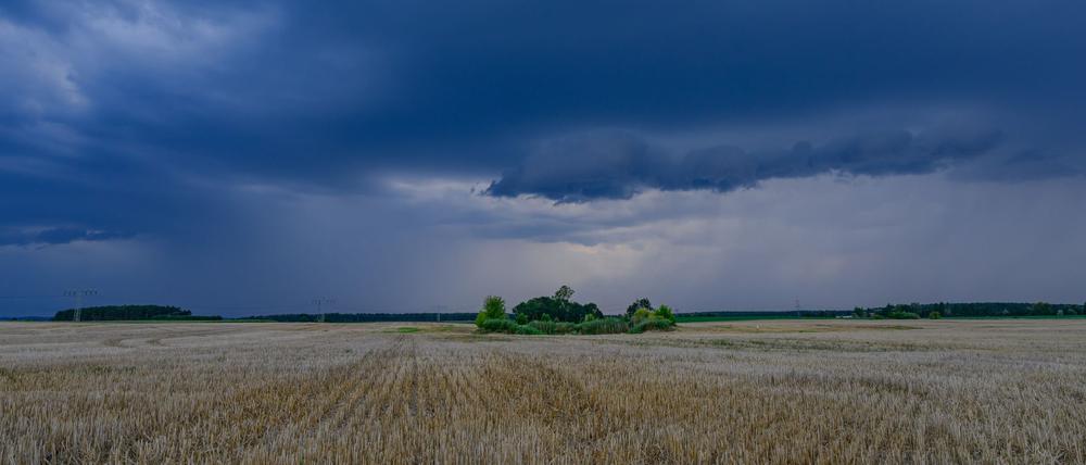 Bis zu 33 Grad in Berlin und Brandenburg: Gewitter und Sturmböen können vor allem im Westen Brandenburgs auftreten. (Archivbild)