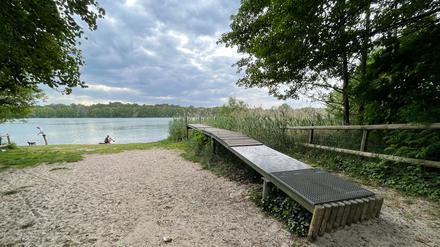 Der DLRG-Steg am Groß Glienicker See steht seit vielen Jahren auf dem Trockenen. Die Zuleitung von Havelwasser könnte dies ändern, sagen Berliner Wissenschaftler - doch das wird nicht billig. 