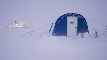 Ein Jahr im Eis: Auf der Mosaic-Expedition ließen sich Forschende auf der Polarstern ein Jahr lang im Meereis festfrieren. 