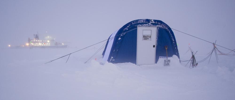 Ein Jahr im Eis: Auf der Mosaic-Expedition ließen sich Forschende auf der Polarstern ein Jahr lang im Meereis festfrieren.