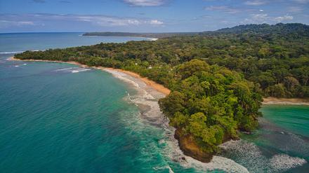 Die Strände von Punta Uva liegen im südlichsten Teil der costaricanischen Karibikküste.