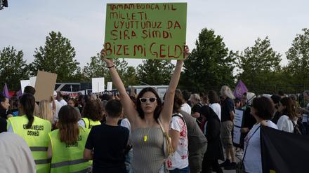 Tausende demonstrierten am Wochenende in Istanbul gegen die Tötung von Straßentieren, die die Regierung in Ankara verfügt hat. 