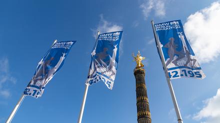 Es sind noch dreieinhalb Wochen bis zum Berlin-Marathon.