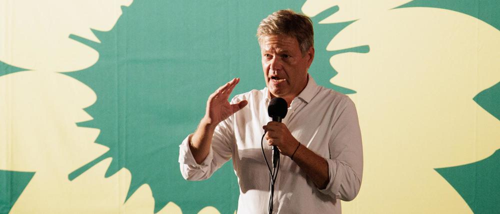 Robert Habeck soll die Grünen in den Bundestagswahlkampf führen.