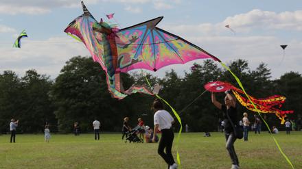 Beim Drachenfest im Volkspark können Kinder auch selbst Drachen steigen lassen. 