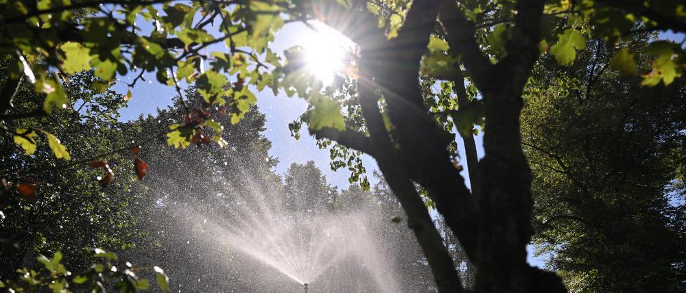 In Potsdam herrscht derzeit viel Sonnenschein.
