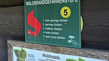 In 13 der 14 Landkreise in Brandenburg herrscht laut Umweltministerium die höchste Gefahrenstufe. (Symbolbild)