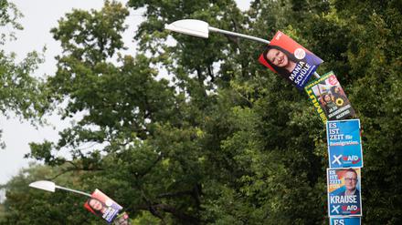 Wahlplakate in Brandenburg 