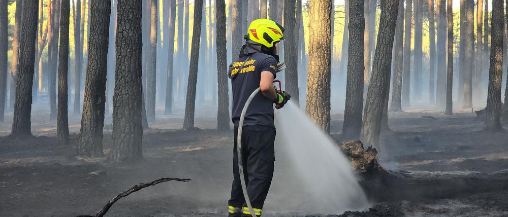 Die Feuerwehr hat einen Waldbrand bei Ruhlsdorf unter Kontrolle gebracht.