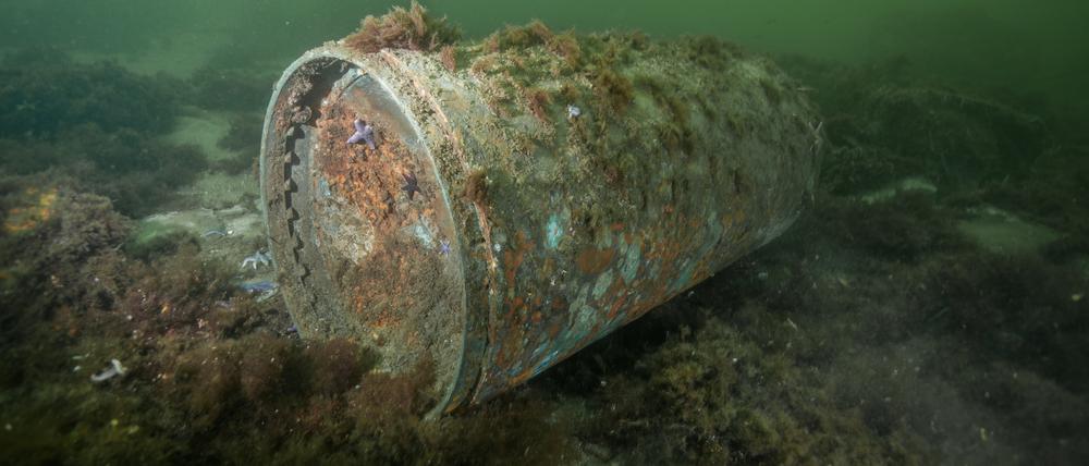 Ein versenkter Munitionsrest liegt in der Kolberger Heide, in der Ostsee. Drei Jahre lang haben Wissenschaftler zu den Risiken geforscht, die von versenkten Kampfstoffen in der Ostsee ausgehen.