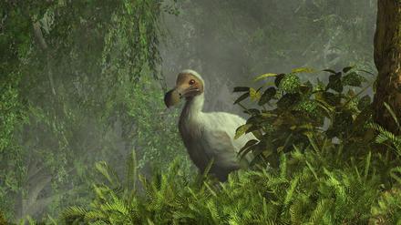 Ein Dodo-Vogel versteckt sich in einem dichten Dschungel in der Nähe eines Baches.
