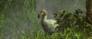 Ein Dodo-Vogel versteckt sich in einem dichten Dschungel in der Nähe eines Baches.