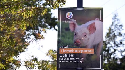Wahlplakat von Plus Brandenburg und Tierschutzpartei. 