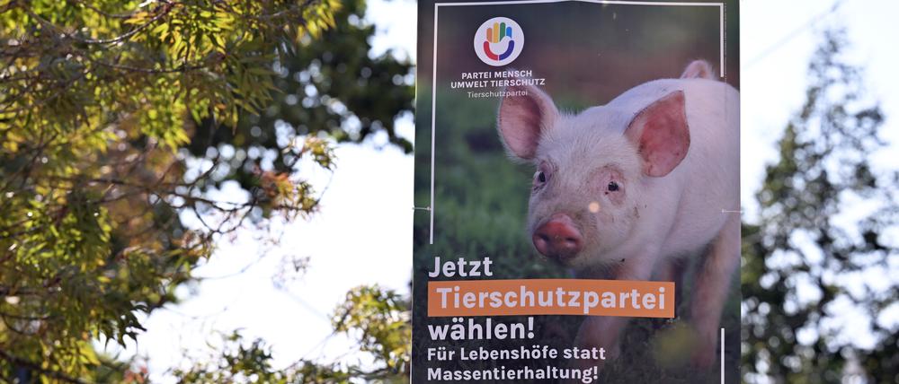 Wahlplakat von Plus Brandenburg und Tierschutzpartei. 