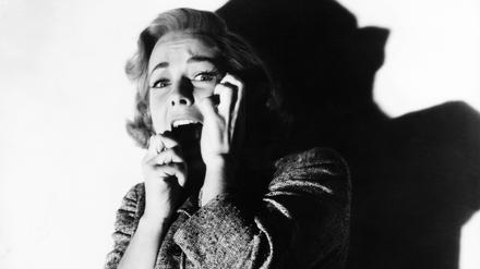 Vera Miles voller Angst.