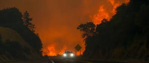 In Kalifornien brennt ein sich schnell ausbreitendes Feuer unkontrolliert. 