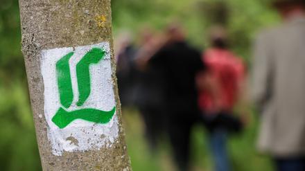 Die Lutherwege Sachsen-Anhalt und Brandenburg werden vereinigt. (Archivbild)