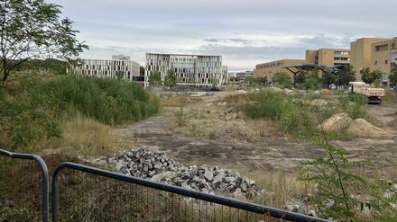 Nuthepark Potsdam, Baustofflager, wird umgewandelt zu klimaresilientem Jugendort, Bauzeit 2024 bis 2027 am Hauptbahnhof Babelsberger Straße 