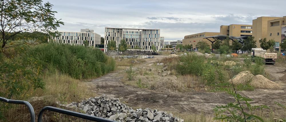 Nuthepark Potsdam, Baustofflager, wird umgewandelt zu klimaresilientem Jugendort, Bauzeit 2024 bis 2027 am Hauptbahnhof Babelsberger Straße 