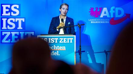 Hofft auf eine Zäsur mit der Brandenburg-Wahl: Alice Weidel.