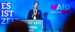 Hofft auf eine Zäsur mit der Brandenburg-Wahl: Alice Weidel.